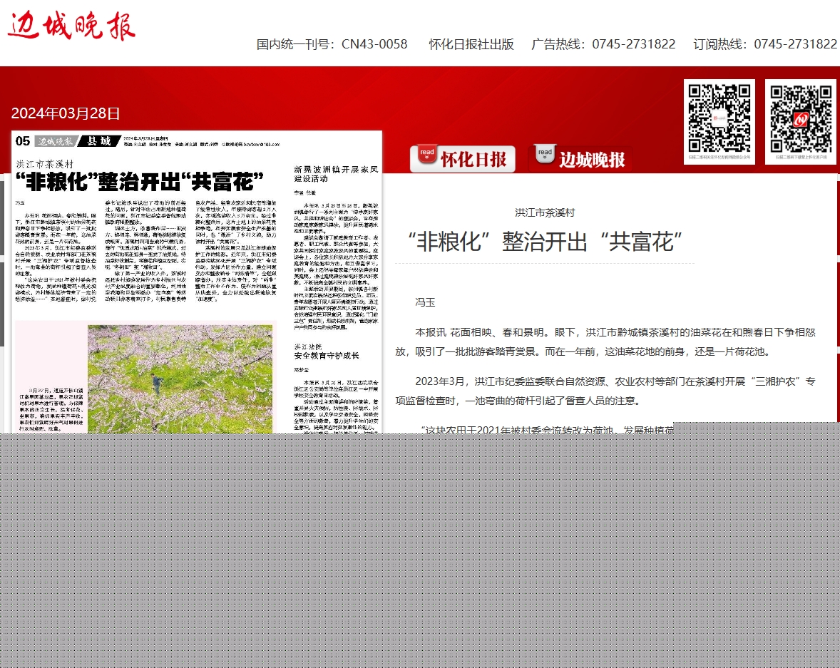 茶溪.png