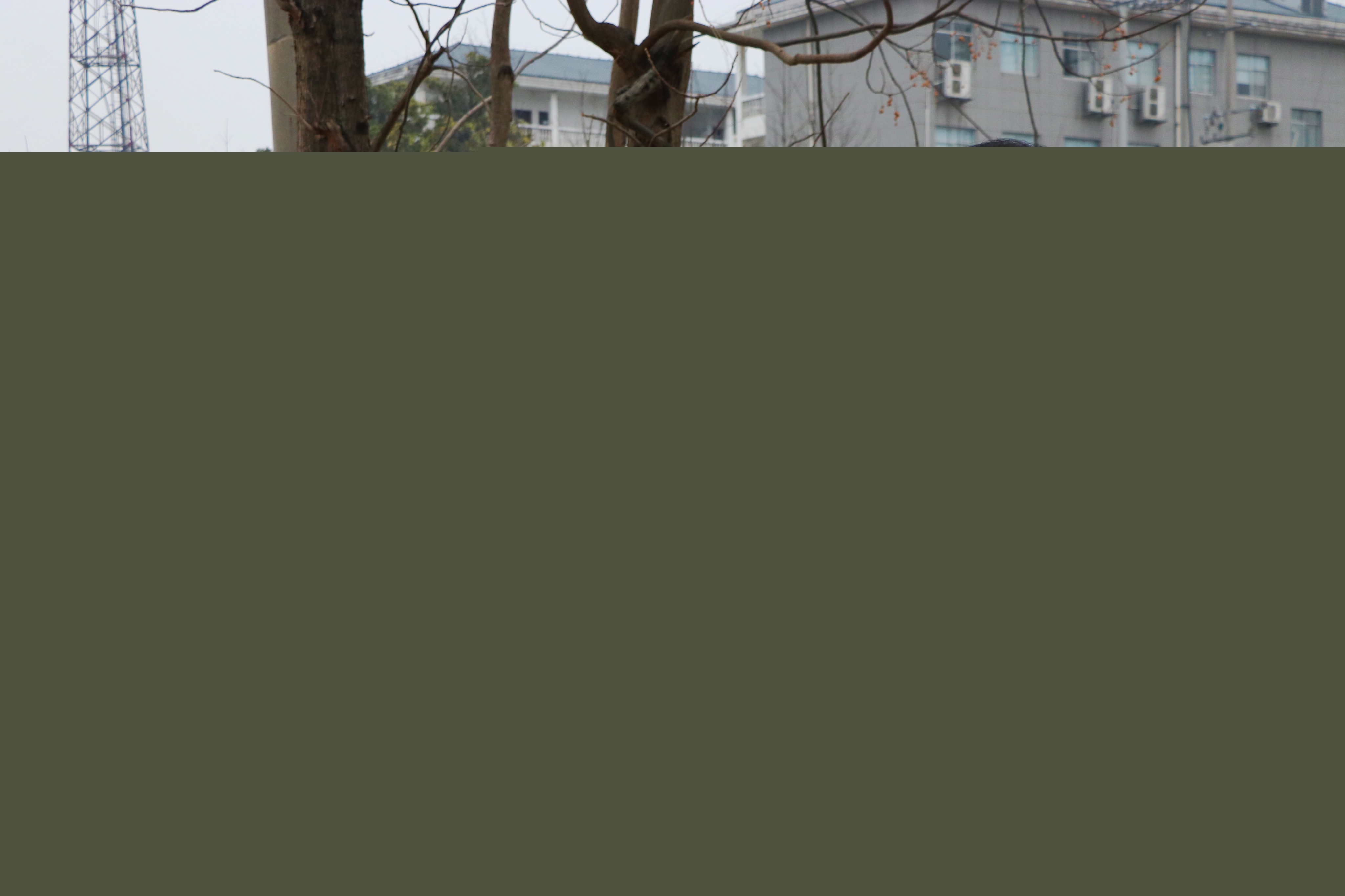 dff9be2636ffc44a1b9a49178520757.jpg